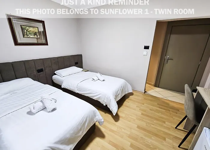 Sunflower Rooms